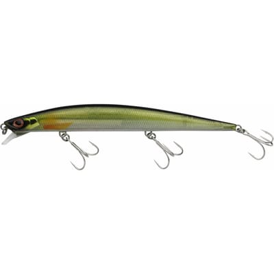 Lok Berkley Dex Long Shot