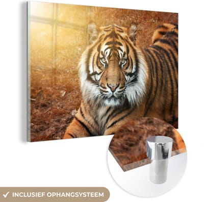 MuchoWow® Glasschilderij 60x40 cm - Schilderij acrylglas - Portret - Tijger - Zon - Foto op glas - Schilderijen