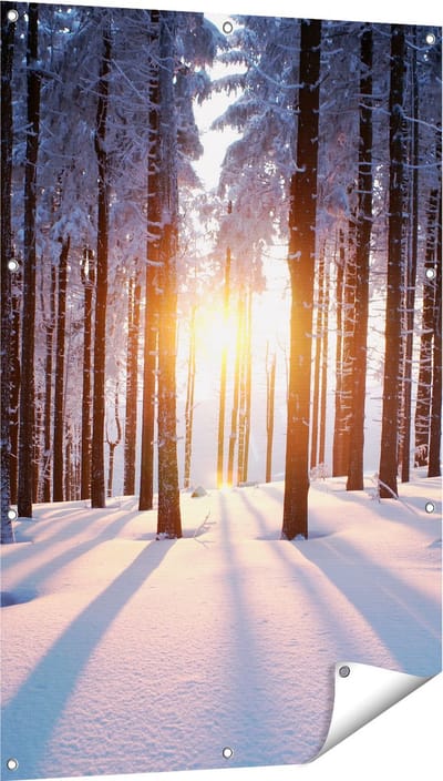 Gards Tuinposter Bos met Sneeuw tijdens de Zonsondergang - 80x120 cm - Tuindoek - Tuindecoratie - Wanddecoratie buiten - Tuinschilderij