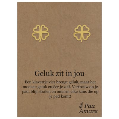 Stainless Steel Klavertje vier Oorbellen op Cadeau Kaartje - Geluk zit in jou - ± 10x10mm Oorknopjes Zilverkleurig Roestvrij Staal - Pax Amare