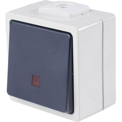 AS Schwabe 62453 Toets Met licht IP54 Grijs