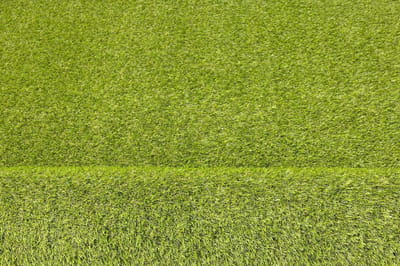 Kunstgras Tapijt - Valse Grasmat - Balkon Decoratie - Vuilwerend - 300 x 300 cm - Alvira