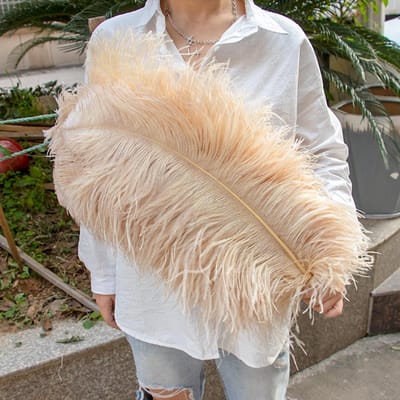 10 STUKS Rode Struisvogelveren Bulk 15-60CM Natuurlijke Veren Voor Knutselen Bruiloft Feest Tafeldecoraties Decoratie Carnaval Plumas 15-20CM 6-8INCH licht kaki kleur
