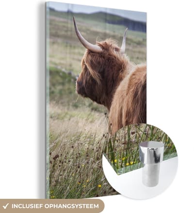 MuchoWow® Glasschilderij 120x180 cm - Schilderij acrylglas - Schotse Hooglander - Natuur - Zee - Foto op glas - Schilderijen