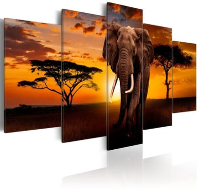Schilderij - Koning van de Savanne, Olifant, 5 luik