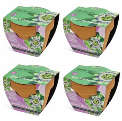 Passiebloem - Grow Gift - 4 Minipotjes voor kweken van Passiebloem