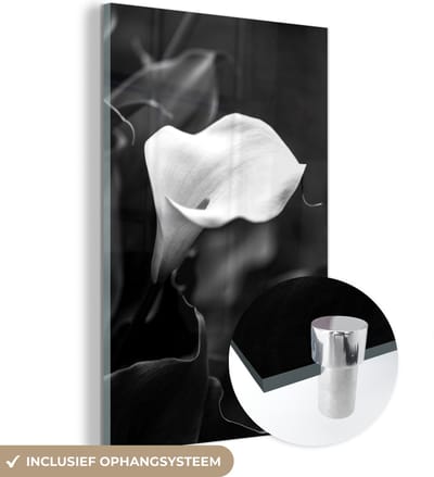 MuchoWow® Glasschilderij 20x30 cm - Schilderij acrylglas - Calla bloemen omringd door bladeren - zwart wit - Foto op glas - Schilderijen