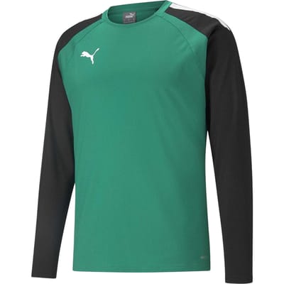Puma Heren TeamLIGA Langsleeve T-Shirt (Groen/Zwart)