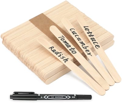 Dailygoods- Plantenetiketten 100 stuks - Houten Plantenlabels - Duurzaam Berkenhout - 15 cm Lang - Ronde Kop - Milieuvriendelijk Materiaal