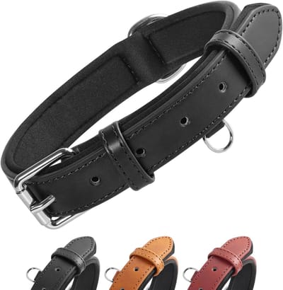 Line Hondenhalsband Verstelbaar Neopreen Gewatteerd Leer Verkrijgbaar in 4 Maten en 3 Kleuren voor Kleine, Middelgrote en Grote Honden, Zwart(L)
