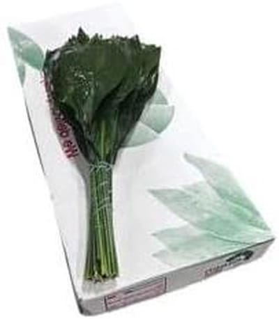 Snijgroen Set - Decoratie Bladeren - Boeketten Maken - Direct Van Kweker - 60 cm - Groen