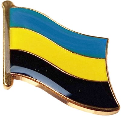 CombiCraft vlag pin Gelderland 18 x 14 mm - per 5 stuks