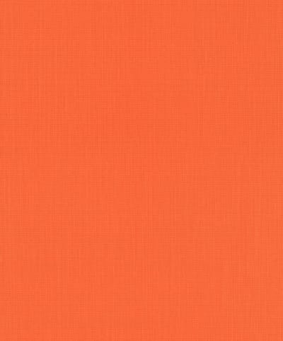 ORANJE BEHANG RACH BARBARA BECKER 527360