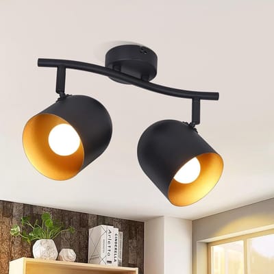 NETTLIFE Opbouwspot - E14 Fitting - Zwart Goud - 2-Lichts - Plafondspot - Metaal - Vintage Hallamp - voor Woonkamer | Slaafkamer | Gang | Keuken-excl. lichtbron