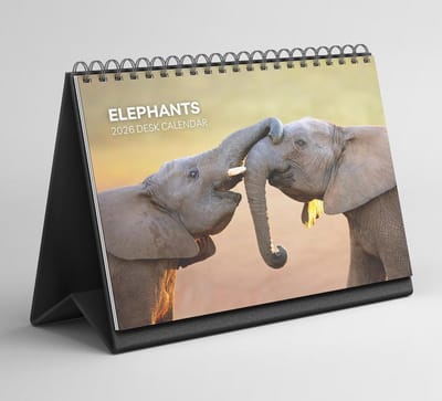 Bureaukalender 2026-2027 Staand Klapmodel met Olifant Ontwerp en Dik Papier