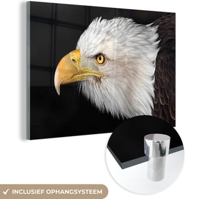 MuchoWow® Glasschilderij 120x80 cm - Schilderij acrylglas - Adelaar - Vogel - Snavel - Ogen - Foto op glas - Schilderijen