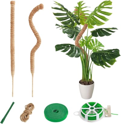 Famanu – Klimstok - 60 cm - klimhulp van kokos - klimstokken voor klimplanten met accessoires - kweekpaal voor klimplanten - Monstera voor gezinstuin
