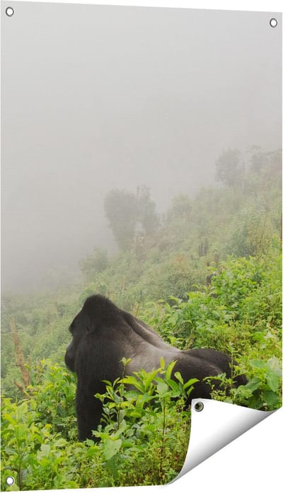 Gards Tuinposter Gorilla in het Woud tijdens de Mist - 60x90 cm - Tuindoek - Tuindecoratie - Wanddecoratie buiten - Tuinschilderij