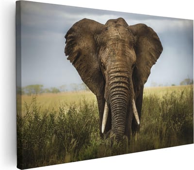 Artaza Canvas Schilderij Olifant Afrika - 30x20 cm - Klein - Wanddecoratie Woonkamer - Muurdecoratie Dieren - Kamer Accessoires