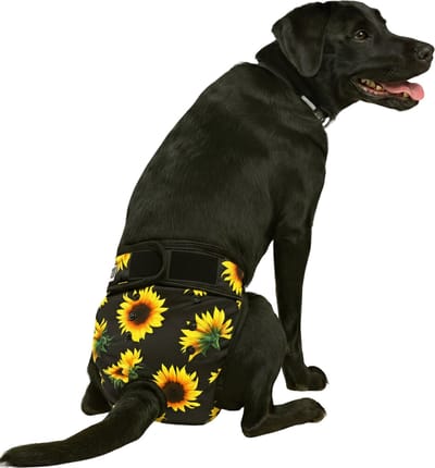 Loopsheidbroekje hond - zonnebloem - maat XL - voor grote honden - herbruikbaar - hondenbroekje - hondenluier - loopsheid - ongesteldheid - voorkomt ongewenste zwangerschappen bij teefjes - milieuvriendelijk - verantwoord - perfecte pasvorm