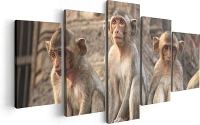 Artaza Canvas Schilderij Vijfluik Drie Kleine Apen Naast Elkaar - 100x50 - Foto Op Canvas - Canvas Print