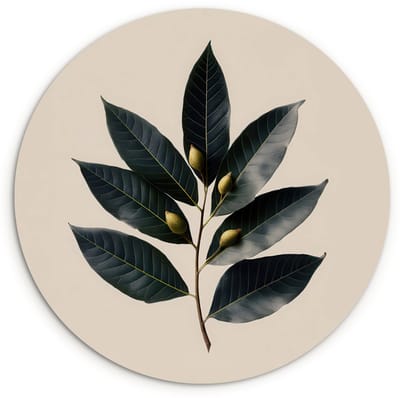 WallCircle® Wandcirkel 120x120 cm - Muurcirkel Laurierbladeren - Bloemknoppen - subtiel - Muurdecoratie woonkamer - Wanddecoratie slaapkamer - Kamer decoratie accessoires - Ronde schilderijen XXL