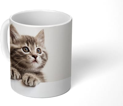 Mok - Koffiemok - Poes - Grijs - Dieren - Mokken - 350 ML - Beker - Koffiemokken - Theemok