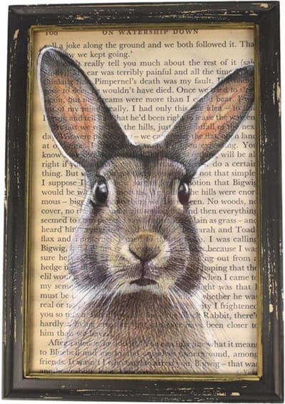 Lijstje hout zwart Haas, 34x23,5cm