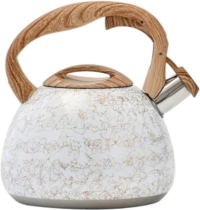 Fluitketel RVS - Waterkoker Theepot - Water Koken - Ergonomisch Handvat - 2.8 Liter - Zilverkleurig