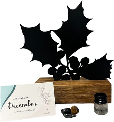 Kraamcadeau - geboortebloem beeld- DECEMBER - de Hulst - mét tandendoosje / potje / haarlokpotje en beschermende edelsteentjes - metaal in houten sokkel - baby cadeau - babyshower cadeau
