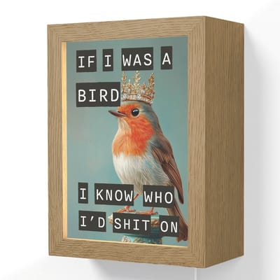 Wandlamp 15x20 cm - Oplaadbaar - Roodborstje - Vogel - Blauw - Decoratie - Wandlampen binnen woonkamer - Slaapkamer lamp met kabel - Decoratieve nachtlamp - Vloerlamp snoer