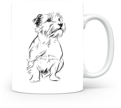 Beker Norfolk Terrier