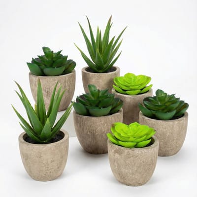 GreenDream 6 stuks Kunstplanten - Mini Vetplanten 10 cm - Cadeautip