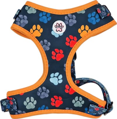 Hondentuigje - Zacht Tuigje / Honden Harnas - Blauw - Pootjes - You are my Universe - Paw My God! - Maat L