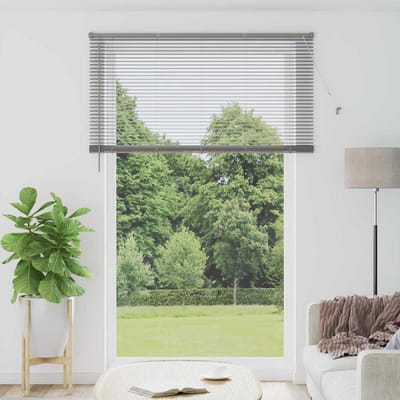 vidaXL - Venetiaanse - jaloezie - zilver - 220 - x - 145 - cm - 25 - mm - Aluminium