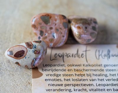 Leopardiet Trommelsteen, edelsteen - Perfect cadeau voor mannen en vrouwen - Inclusief uitleg - Spiritueel - Kalkooliet - Bescherming - Aardend - Beschermend - Kracht - Vitaliteit - Balans - 100% NATUURLIJK