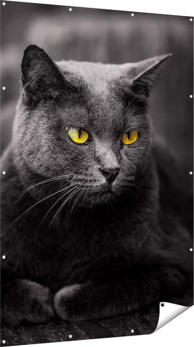 Gards Tuinposter Zwarte Kat met Gele Ogen - 120x180 cm - Tuindoek - Tuindecoratie - Wanddecoratie buiten - Tuinschilderij