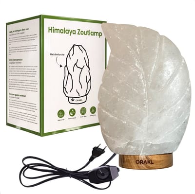 Luxe Dimbare Himalaya Zoutlamp Leaf - 2-4 KG en ca. 18 cm - Nachtlamp - Tafellamp - Cadeauverpakking