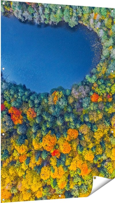 Gards Tuinposter Kleurrijke Bos met Bomen naast een Meer - 100x150 cm - Tuindoek - Tuindecoratie - Wanddecoratie buiten - Tuinschilderij