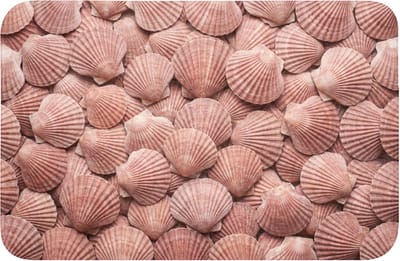 WC mat 60x40 cm - Antislip - Schelpen - Patroon - Roze - Toiletmat - Vloermat - Douchemat - Toilet tapijt - Toiletmatten