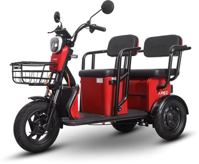 Elektrische Driewieler Ecowielen – 2 Zitplaatsen, 25 km/u, Bereik tot 40 km