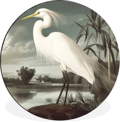 WallCircle - Wandcirkel - Muurcirkel - Reiger - Planten - Wolken - Wit - Aluminium - Dibond - 30x30 cm - Binnen en Buiten