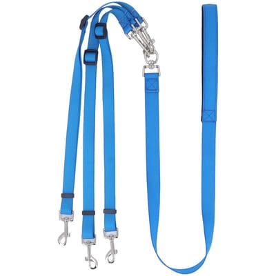 3-weg hondenriem multifunctioneel verdikt nylon afneembaar verstelbaar nylon hondenkoppelstuk riem met gevoerd handvat voor blauw