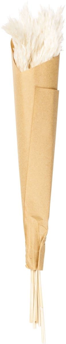 ASA Selection Pampasgras, set van 6, pampasgras, droogbloem, grassen, decoratie, 35 cm, naturel, 66312444