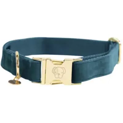 Kentucky Dogwear - Hondenhalsband - Velvet - Emerald L - 42-68cm - Hondenriem