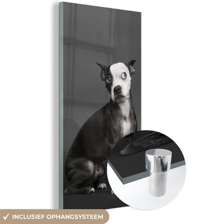 MuchoWow® Glasschilderij 20x40 cm - Schilderij acrylglas - Hond - Vlek - Portret - Foto op glas - Schilderijen