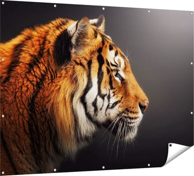 Gards Tuinposter Zijaanzicht van een Tijger - Tijgerkop - 160x120 cm - Tuindoek - Tuindecoratie - Wanddecoratie buiten - Tuinschilderij