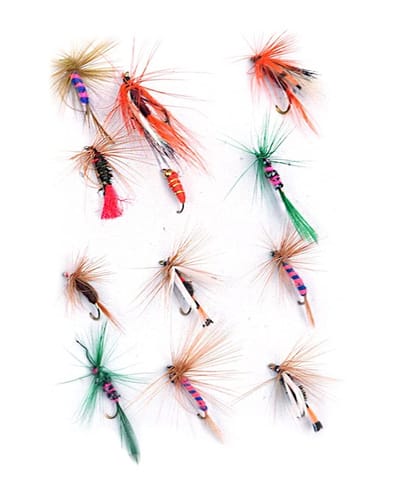 Dailygoody - Vliegvissen Kit - 12 stuks - Perfect voor forel en baars - Drijvende vliegen - Handgebonden kwaliteit - Ideaal voor iedere visser
