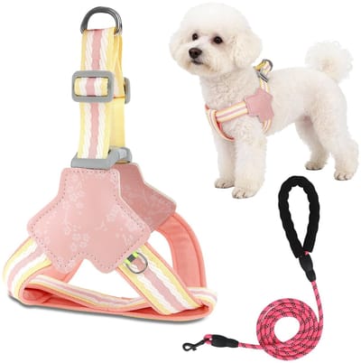Verstelbare hondenriem voor kleine honden, reflecterende trainingslijn voor dagelijkse wandelingen en dierenartsbezoeken, roze, S