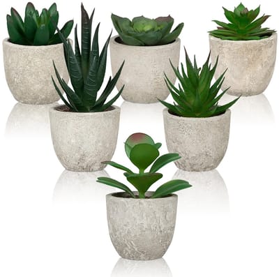 Dailygoods- Kunstplanten Set van 6 - Nepplanten in Potten - Kunstmatige Vetplanten - Decoratieve Kamerplanten - Realistisch en Levensecht - Perfect voor Kleine Ruimtes